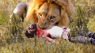 Lion Attack Man in Forest || Lion Attack Hunter || Lion Attack Stories Part-7