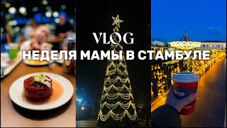 Неделя мамы в Стамбуле/ новый тц и парк развлечений в Стамбуле Tema World