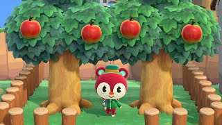 Animal Crossing: New Horizons | Poppy Highlights