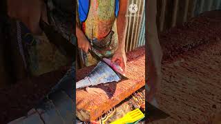 paarai fish cutting / fish cutting videos