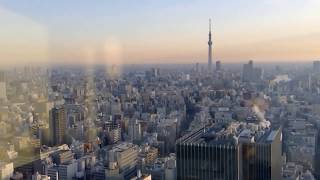 Mandarin Oriental Tokyo2 マンダリンオリエンタル東京：夜景・朝食(2019.01.07,08)