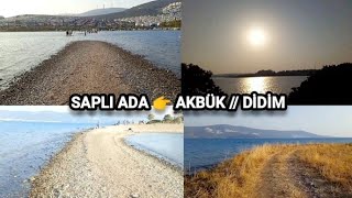 SAPLI ADA (Denizden yürüyerek adaya gitmek) 👉 AKBÜK // DİDİM #keşfet #didim #gezi #fyp