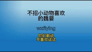 不招小动物喜欢的魏婴，你们敢说不喜欢试试！#陈情令 #搞笑 #王一博 #肖战 #蓝忘记 #魏无羡 #喜剧 #电视剧 #热播 #蓝湛 #the