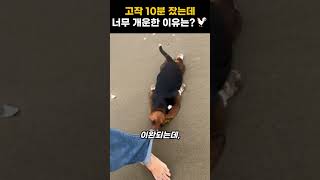 낮잠 잤을 때 더 개운한 이유는 뭘까? #과학 #이슈 #쇼츠 #상식