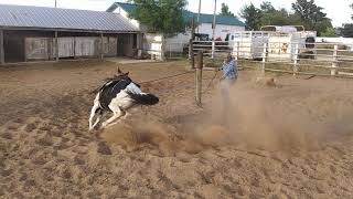 Demostrando como quitarle lo rreparador a un caballo sin golpear ni serlastimada la persona