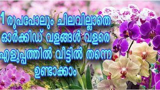 ഒരു രൂപപോലും ചിലവില്ലാതെ വീട്ടിൽ തയ്യാറാക്കാവുന്ന ഓർക്കിഡ് വളങ്ങൾ / homemade fertilizers for orchids