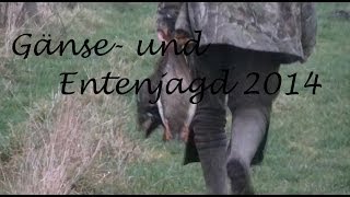 Gänse  und Entenjagd 2014