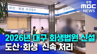 2026년 대구 회생법원 신설, 도산·회생  신속 처리 (2024.12.02/뉴스투데이/포항MBC)