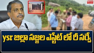 ysr జిల్లా సజ్జల ఎస్టేట్ లో రీ సర్వే.. | Mahaa News