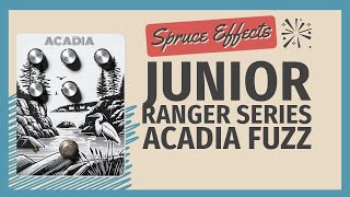 Spruce Effects Junior Ranger Series: Acadia Fuzz