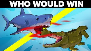 The Megalodon vs The Giant Crocosaurus - Who Would Win in a Battle?