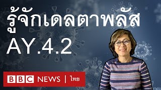 โควิด-19: เดลตาพลัส AY.4.2 เชื้อกลายพันธุ์ชนิดใหม่ - BBC News ไทย