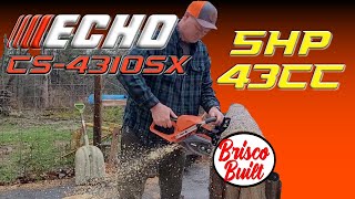 Ported Echo CS 4310SX by Charles Brisco