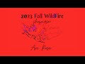 Ari Rose’s Aerial Multi-Prop Routine - 2023 Fall WildFire Retreat Showcase