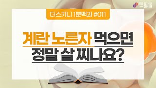 [다이어트 : 더스키니1분백과] 계란 노른자, 고칼로리에 콜레스테롤이 많아서 살찌나요? 하루권장량은 어느정도? 노른자 속 레시틴 성분의 효능도 알려드려요! (feat.김진서 원장)