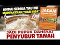 ANDAI SEMUA TAU PUPUK DAHSYAT INI.!!! Suburkan Tanah Cukup Dengan Nasi | JADAM ORGANIK