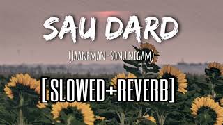 Sau Dard (slowed+reverb) | Jaaneman | Salman Khan
