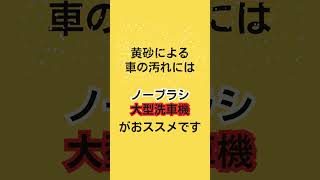 黄砂で車が汚れた‼大事な車を傷つけないために‼黄砂汚れには、ノーブラシの大型洗車機が安心　#洗車機 　#キャンピングカー　#ノンブラシ　#大型洗車機　 #洗車 　#automobile　#shorts