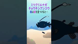 【1分アクアリウム/海の生き物・魚の生態解説】チョウチンアンコウについて　#shorts