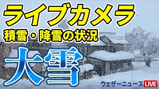 【大雪ライブカメラ】さらに積雪増加注意／Snow Live Camera／2025年2月10日(月) #大雪