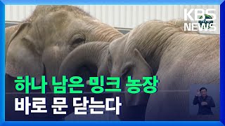 [글로벌K] 프랑스, 동물 학대 처벌 강화…서커스·돌고래쇼 사라진다 / KBS  2021.11.19.