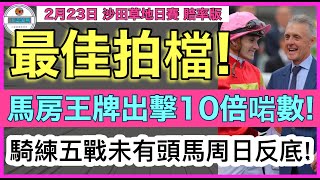 【小梁論馬】2月23日沙田日賽~賠率版 | 最佳拍檔! | 馬房王牌出擊10倍啱數! | 騎練五戰未有頭馬周日反底! | 賽馬KOL-小梁@KleagueworkshopKen