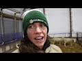 my last day as a beef farmer. vlog 214