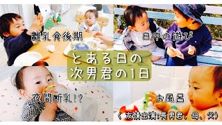 【密着】【生後9ヶ月】活発でよく動く！3回食に移行した次男君の1日