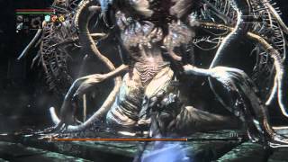 Bloodborne™_20150930084537　宇宙之女　教會之槌　210級