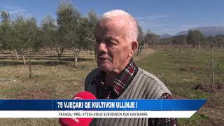 75 VJEÇARI QE KULTIVON ULLINJE !