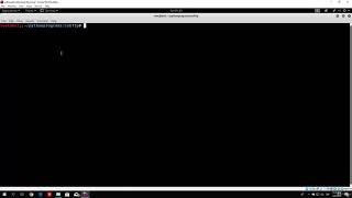 4 Coding a SSH brute forcer