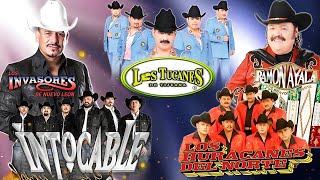 Los Tigres Del Norte, Ramón Ayala, Los Huracanes del Norte | Corridos Clásicos