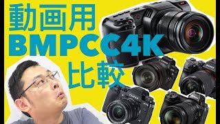 今年買う動画用カメラはBMPCC4K!!!最新ミラーレスと比較！