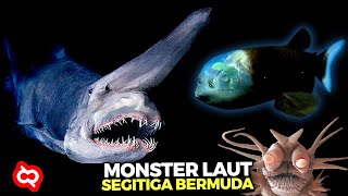 Dikenal Misterius, Ternyata Seperti Ini Penampakan Makhluk Aneh Penghuni Kawasan Segitiga Bermuda