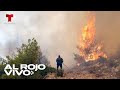 Incendios en Grecia arrasan bosques y provocan evacuaciones | Al Rojo Vivo | Telemundo