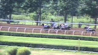 Fort Erie Race Track - 1989 Prince of Wales - With Approval