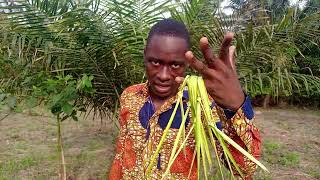 Uses of palm leaves spiritually. Spiritual uses of palm plant. Palm frond spiritual uses.