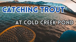 Catching Stocked Trout At Cold Creek Nevada