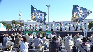 team清門 - 清春の輝き [2017.11.03 草加ふささら祭り 踊るん♪よさこい 左岸広場ステージ]