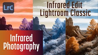 Edit Infrared Photography in Lightroom Classic