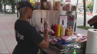 Mobile Mayor's Race: Unofficial Hot Dog Poll