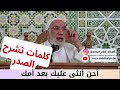 أحن أنثى عليك بعد أمك عمرعبدالكافي مصر حالات_واتس السعودية instagram shorts