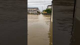 秋田市　駅裏東通　大雨冠水床上浸水濁流