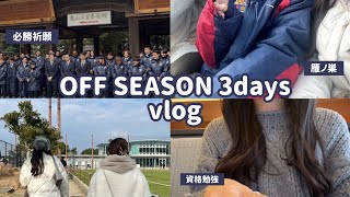 大学生サポーターのオフシーズンの3日間vlog　　　#アビスパ福岡 #avispa #avilog #必勝祈願 #雁ノ巣