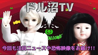 【人形劇】本家に内緒のドル沼TV!　最後は恐怖映像があるので苦手な人はご注意!!【myoudoll＆市松人形＆Truelovedoll＆スーパードルフィー】