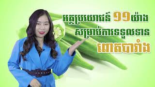 អត្ថប្រយោជន៍ ១១យ៉ាងសម្រាប់ការទទួលទានពោតបារាំង #mahotv