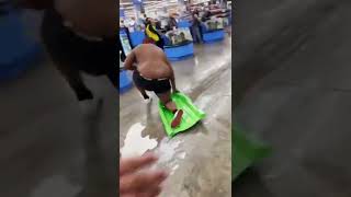 Ohio Walmart milkslide #milk#viral#walmart#funny#meme#laugh#bugchungus#choppachopski