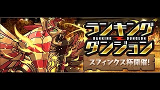 【パズドラ】運が全て！？ランキングダンジョン　スフィンクス杯　立ち回り説明