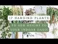 17 Hanging Plants To Add Height to Your Indoor Garden Decor || Cascading Houseplants #indoorplants