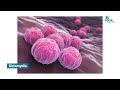 apollo hospitals all you need to know about gonorrhea dr. ravikiran barigala